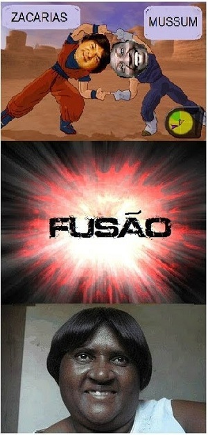 fusao.jpg