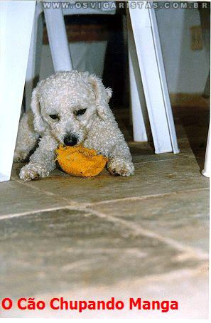 image004.jpg